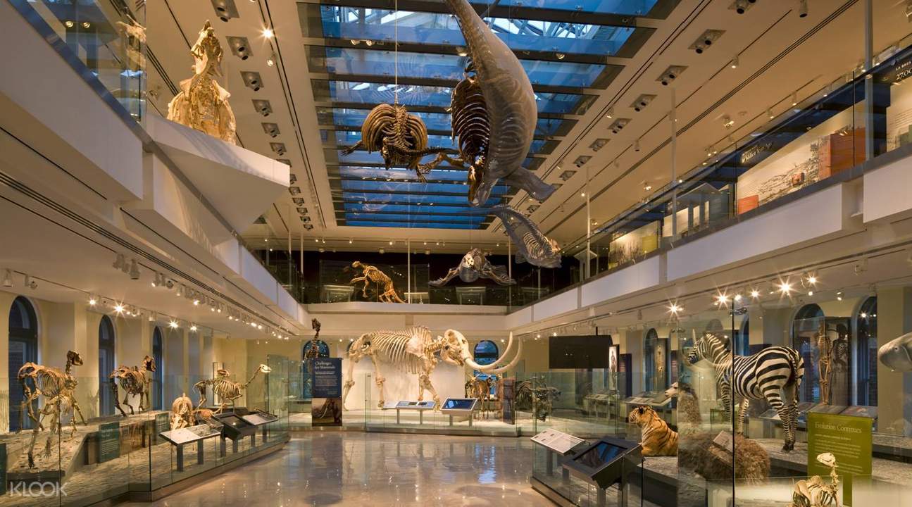 natural history museum los angeles dinosaur hall