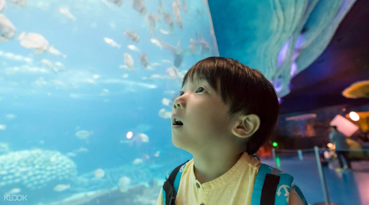珠海海洋公園
