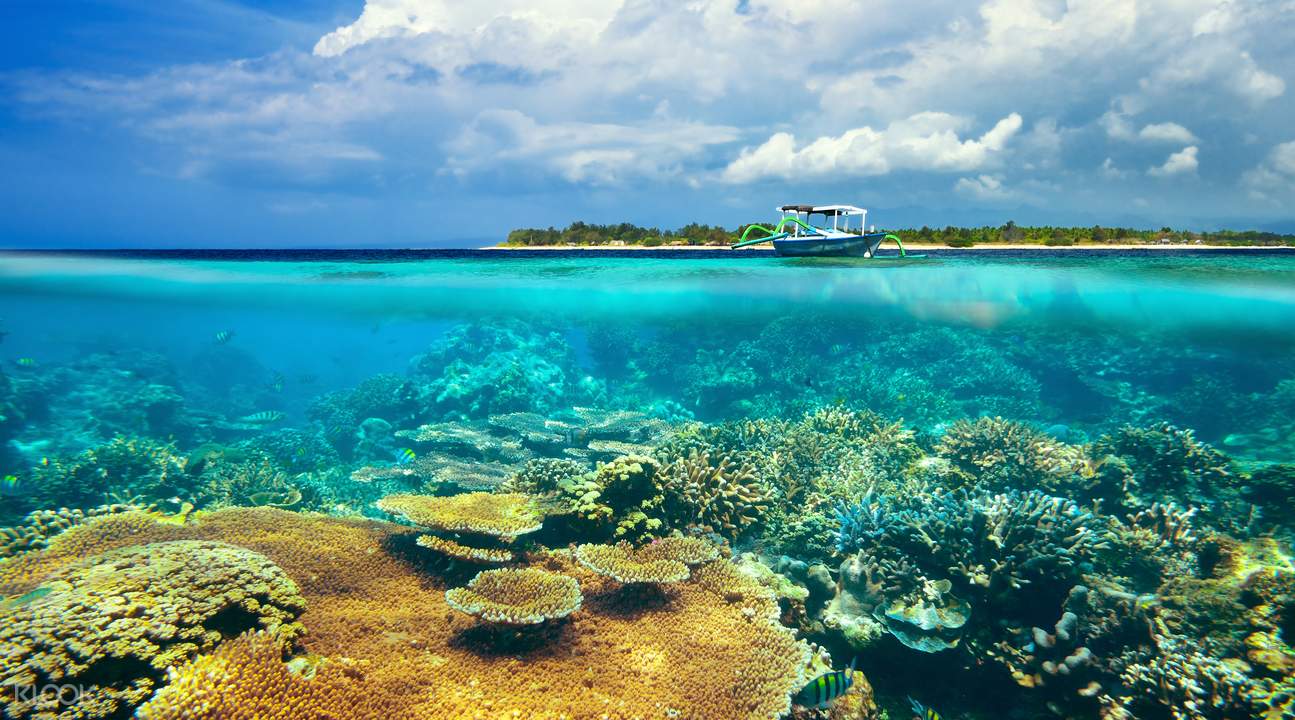 Gili Islands Day Trip on Private Boat - Klook