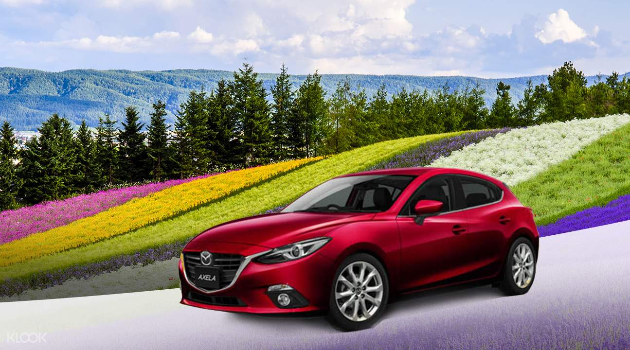 Car Rental In Cn Car Rental In Cn