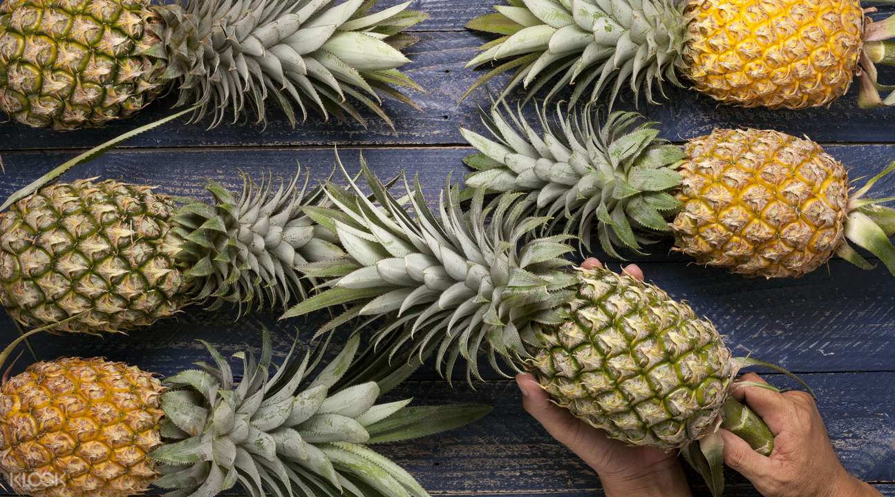 saccarification of pineapple saccarification of pineapple