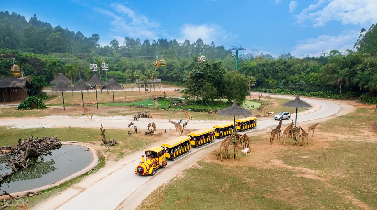 長隆野生動物園廣州