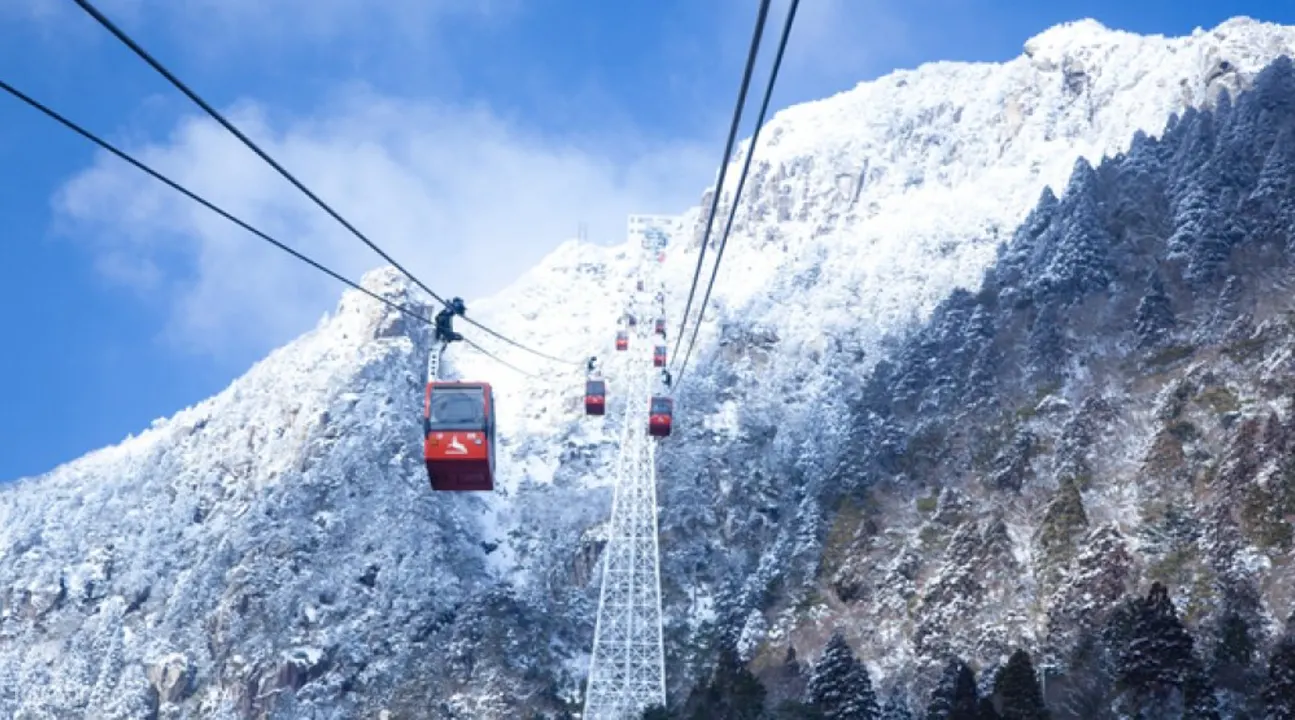 名花之裡& 樹冰& 冰瀑布一日遊（高級松坂牛壽喜燒午餐）