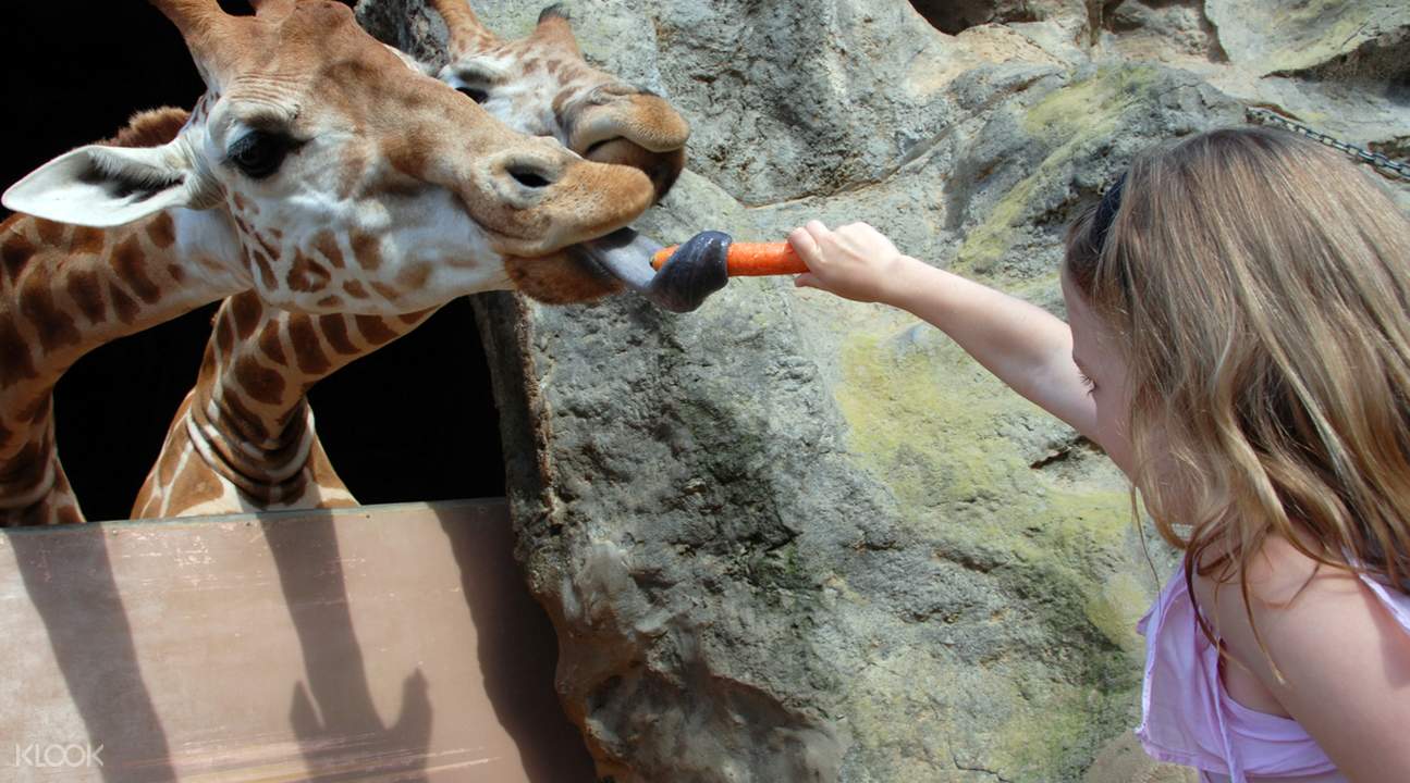 Taronga Zoo Ticket and VIP Aussie Gold Tour (with Cable Car Ride)