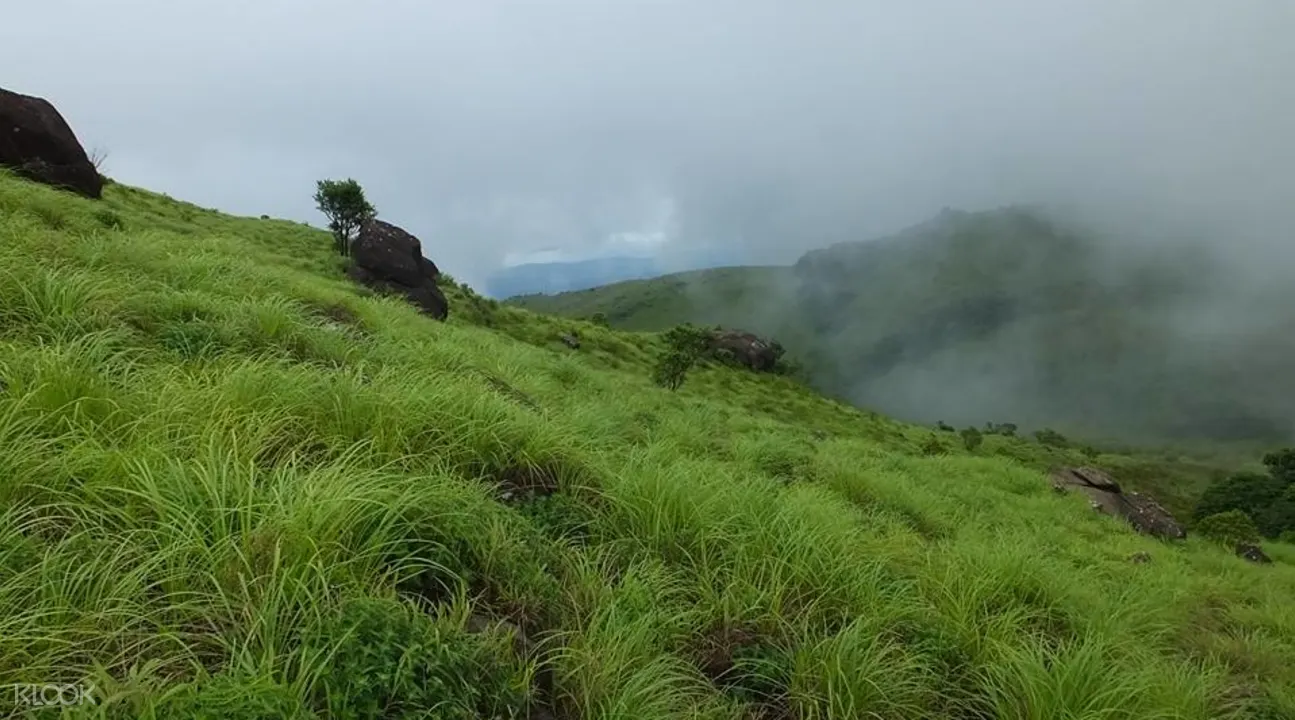 Tadiyandamol山脈