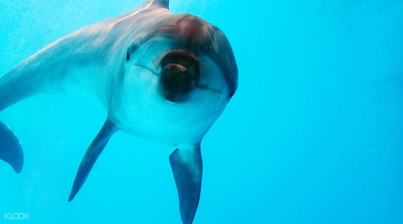 野柳海洋世界台灣