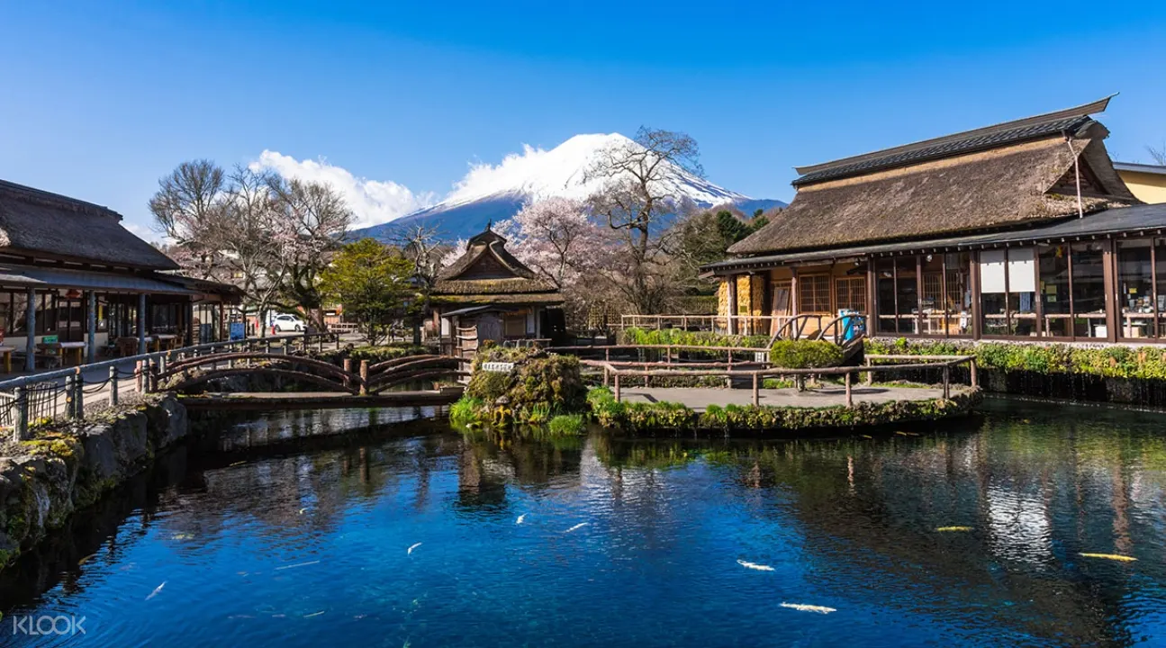 日本東京富士山 川口湖 諏訪湖 Kametaya日本清酒釀酒廠單程巴士遊 高山市出發 線 日本東京富士山 川口湖 諏訪湖 Kametaya日本清酒釀酒廠單程巴士遊 高山市出發 線