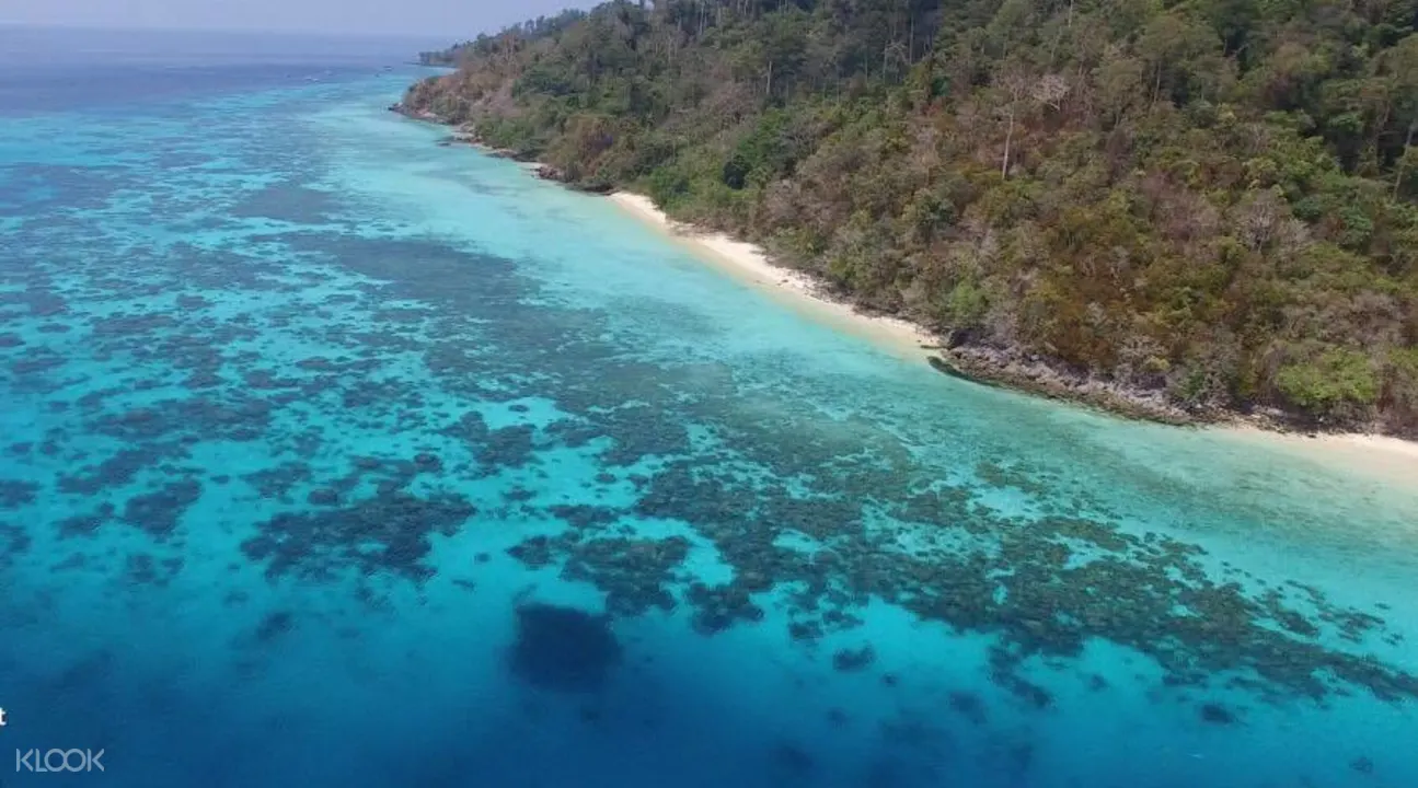 洛克島Koh Rok & 珊瑚島一日遊