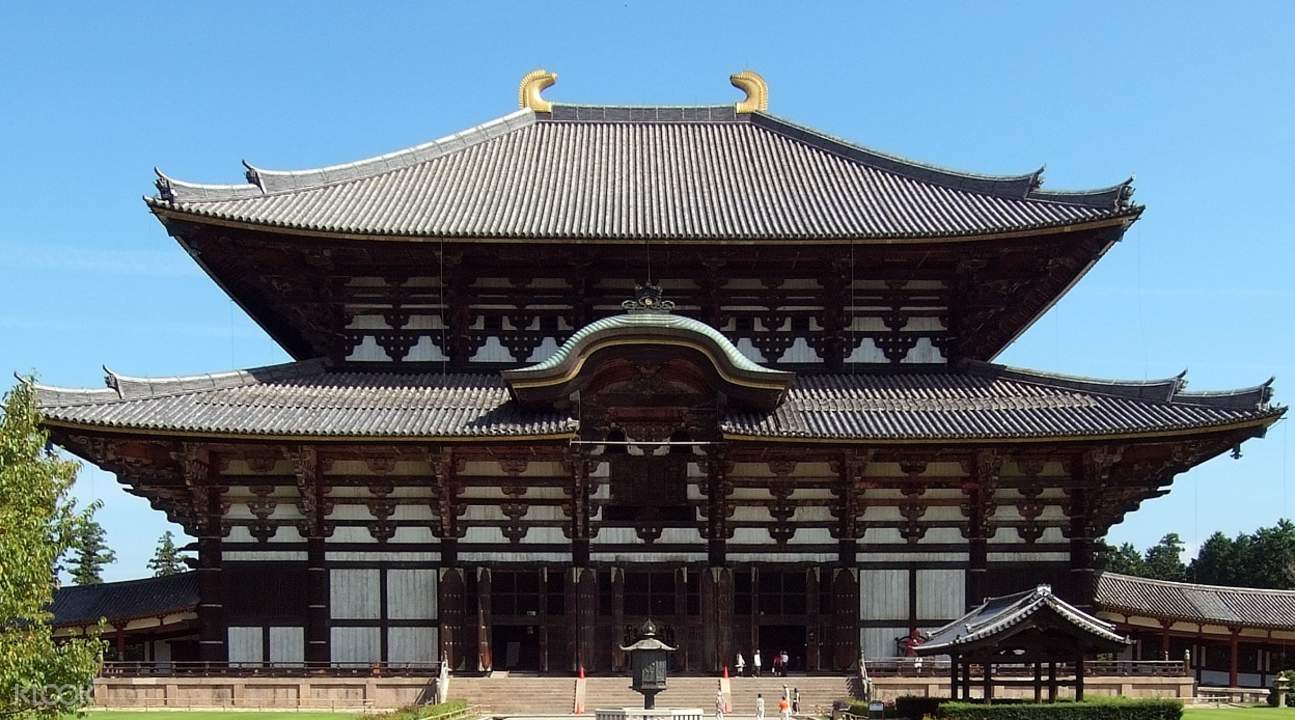 nara day tours todaiji temple