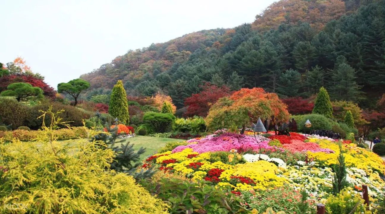 晨靜樹木園