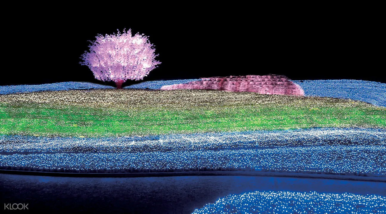 名花之裡& 樹冰& 冰瀑布一日遊（高級松坂牛壽喜燒午餐）