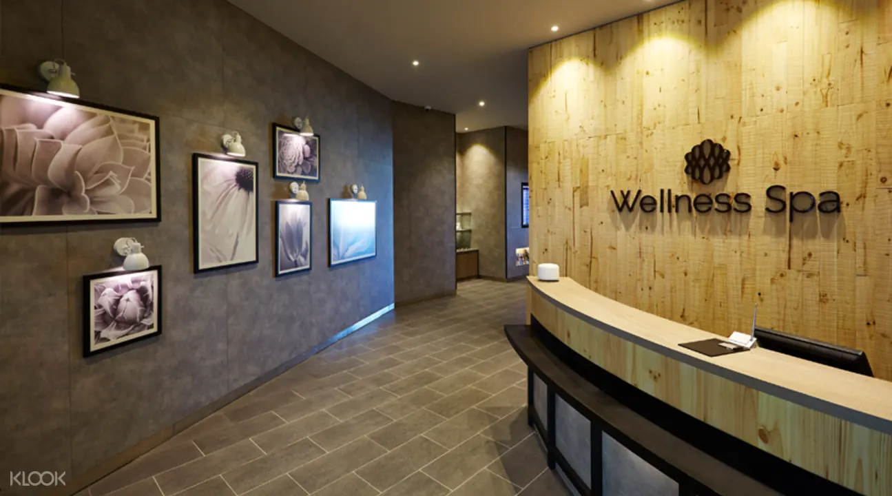 Kuala Lumpur International Airport Plaza Premium Lounge Service Klook Us