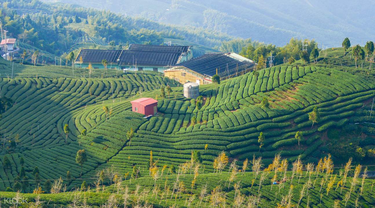 石碇千岛湖 八卦茶园 Klook客路中国
