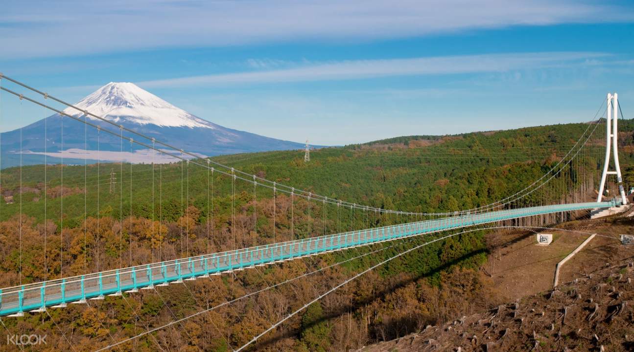 sale-mount-fuji-view-at-the-mishima-skywalk-and-hakone-pirate-ship