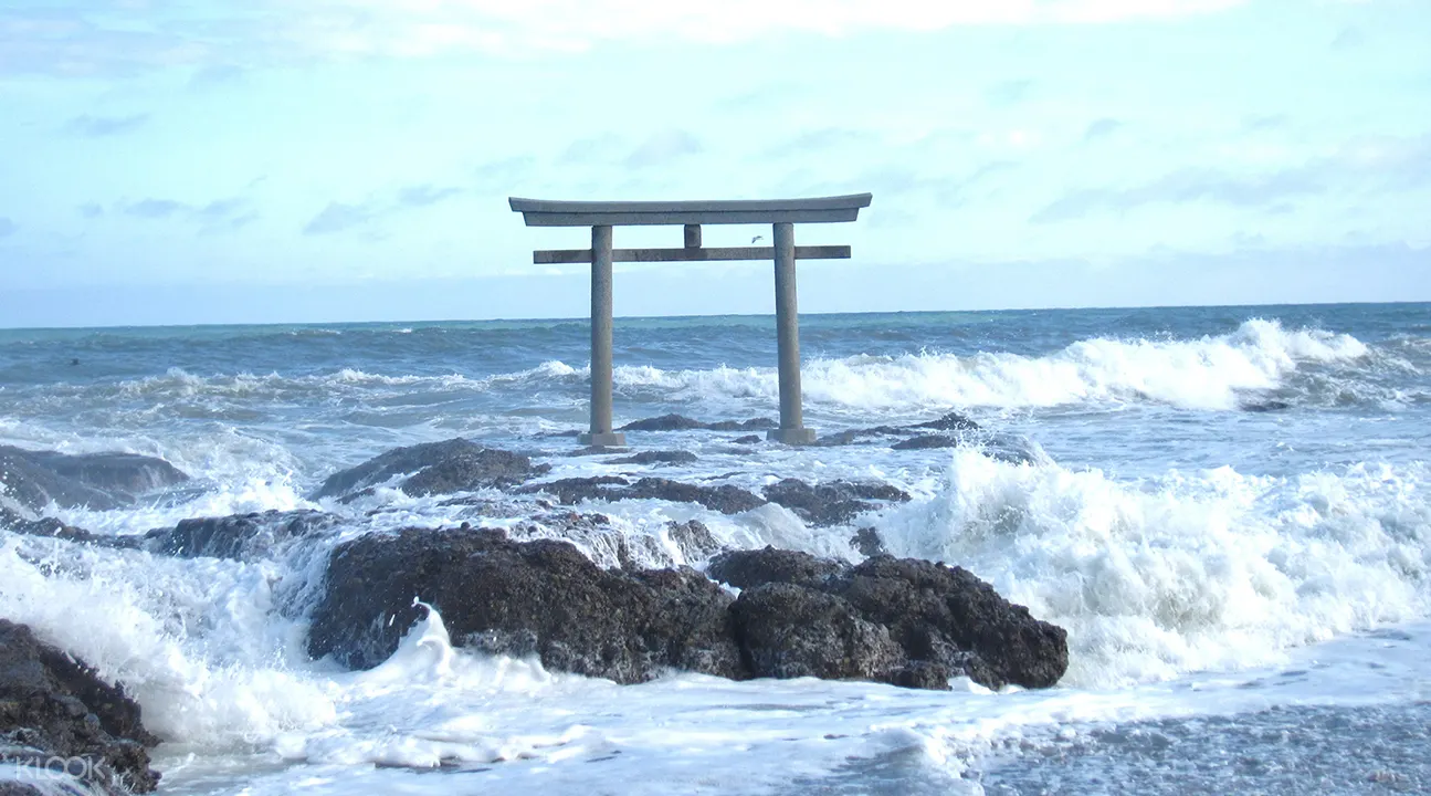 茨城国立常陆海滨公园 那珂湊海鲜市场 大洗鸟居一日游 东京出发 klook客路中国