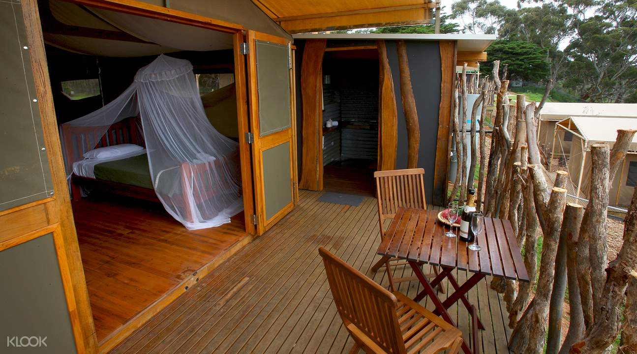 華勒比野生動物園,澳洲華勒比野生動物園兩日遊,墨爾本華勒比野生動物園門票