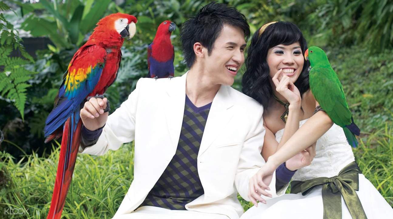 Up To 15 Off Kl Bird Park Admission Ticket With One Way Transfer In Kuala Lumpur Klook India