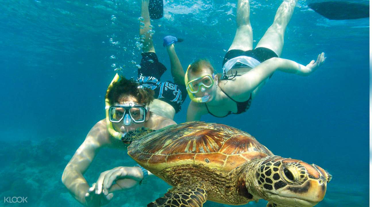 Green Island Eco Adventure from Cairns