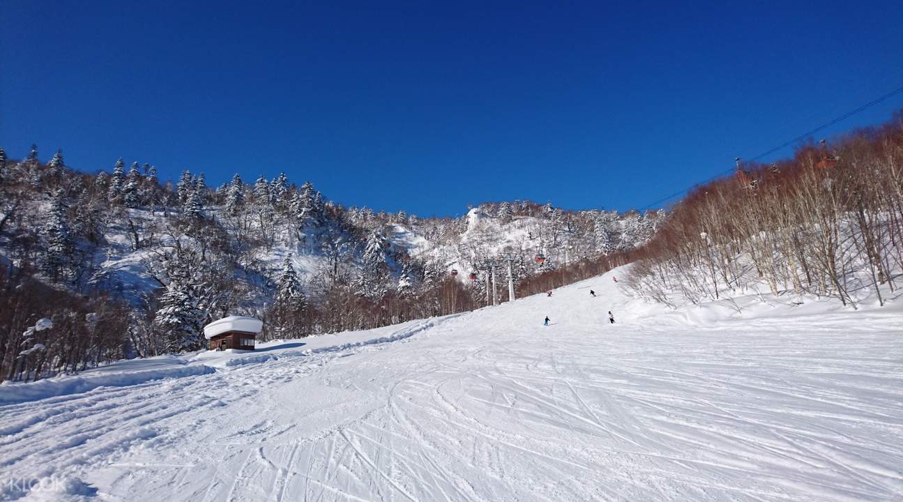 北海道滑雪场巴士票 札幌 定山溪往返札幌国际滑雪场 观景缆车 klook客路中国