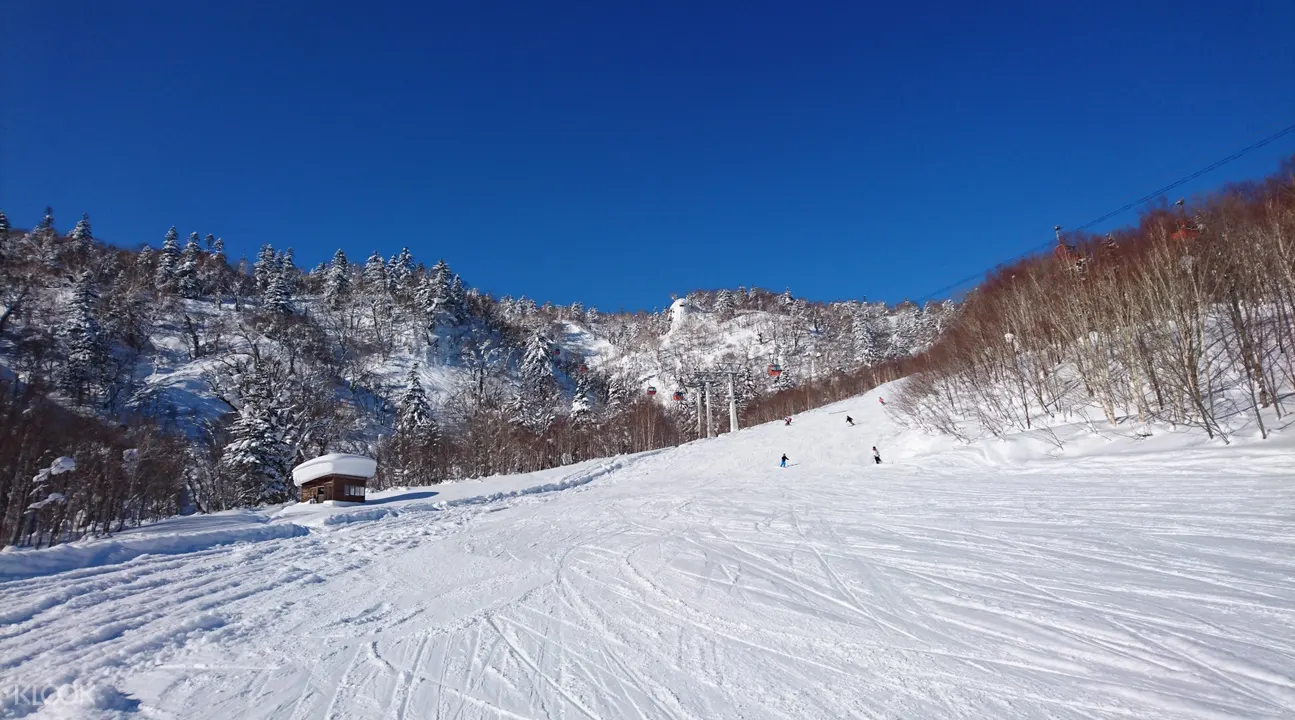 北海道滑雪场巴士票 札幌 定山溪往返札幌国际滑雪场 观景缆车 klook客路中国