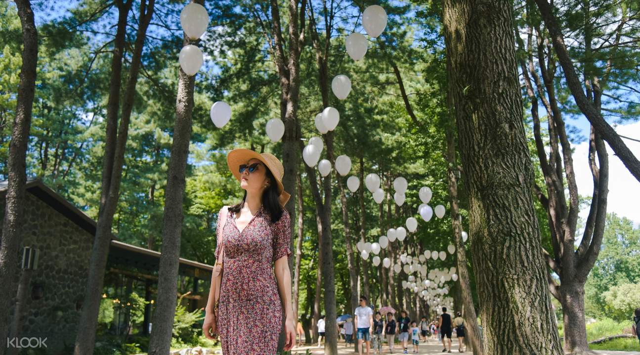 Nami Island, Garden of Morning Calm, Gangchon Rail Bike