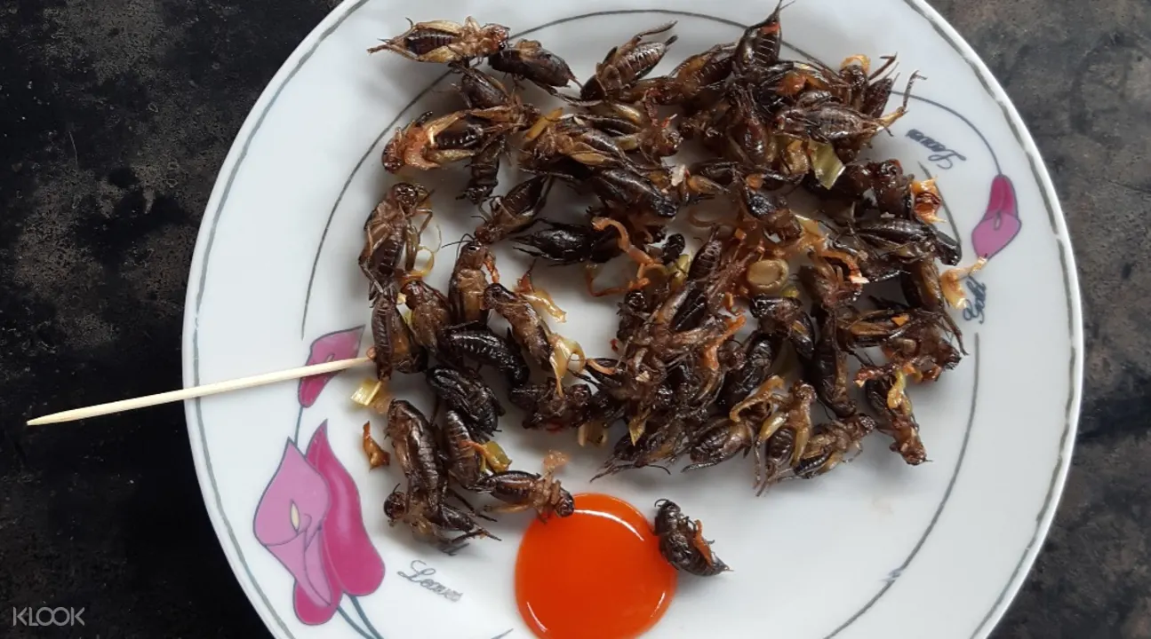 大叻蟋蟀農場