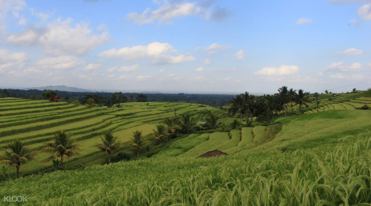 Image result for Ulun Danu Beratan, Jatiluwih Rice Terraces, and Tanah Lot