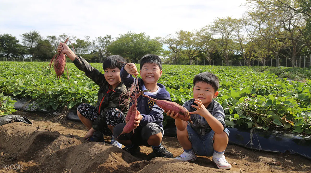 千葉縣母親牧場門票