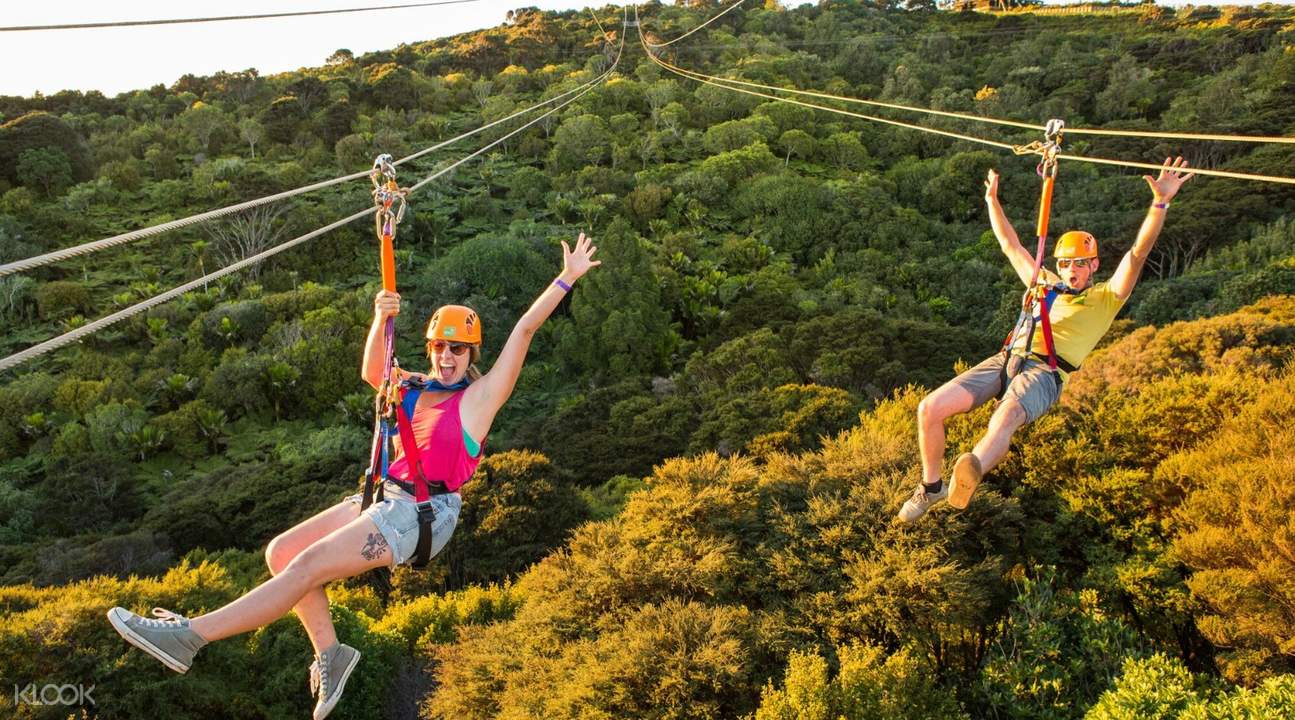 Waiheke Island Zipline and Forest Tour from Auckland Klook New Zealand