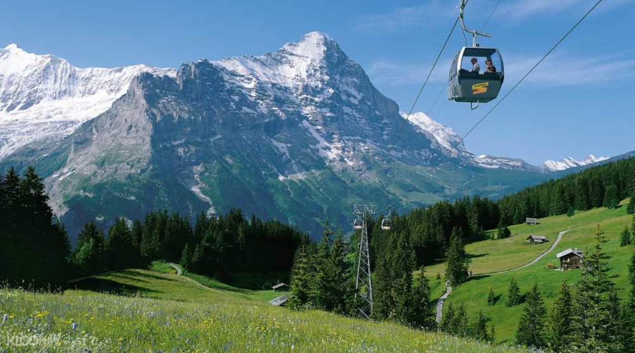Day Trip to Grindelwald and Interlaken From Lucerne