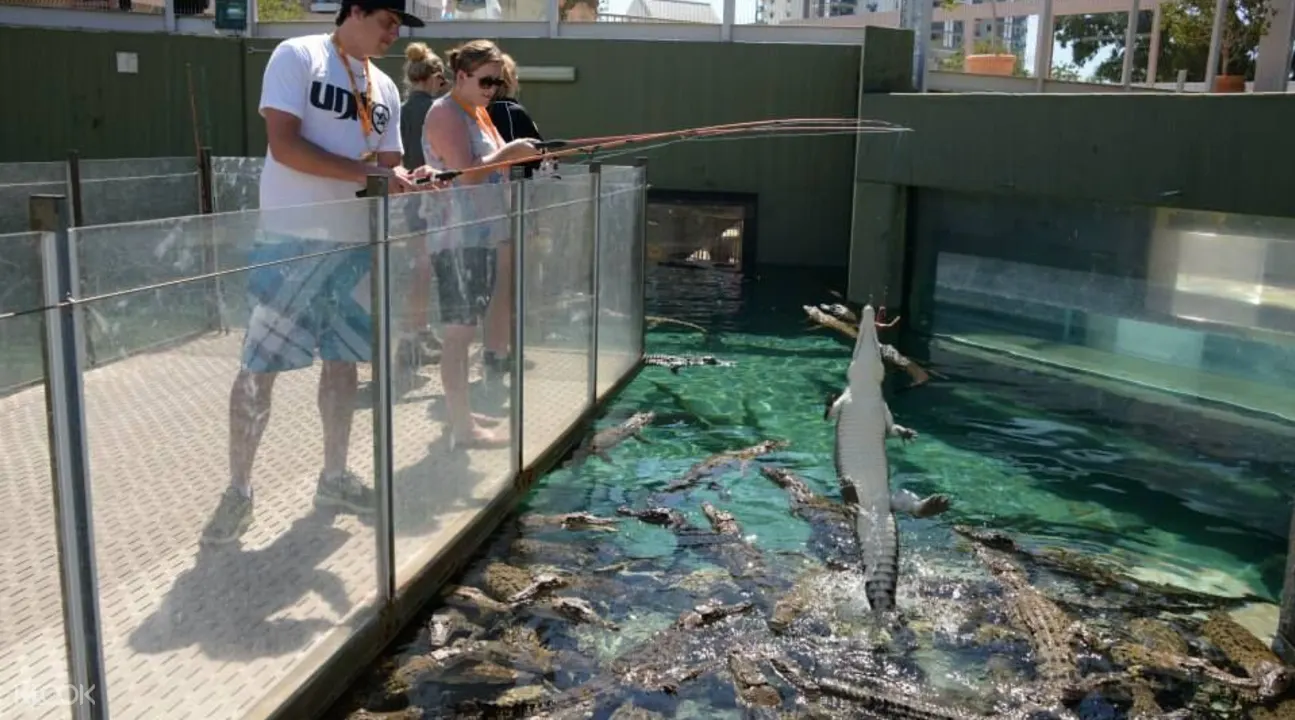 crocosaurus cove discount