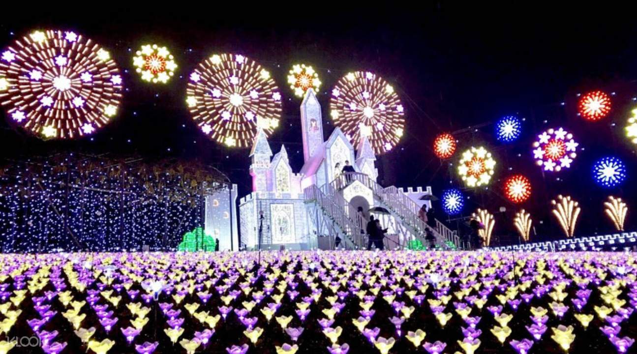 Nasu Autumn Leaves Day Trip with Lunch Buffet and Ashikaga Flower Park