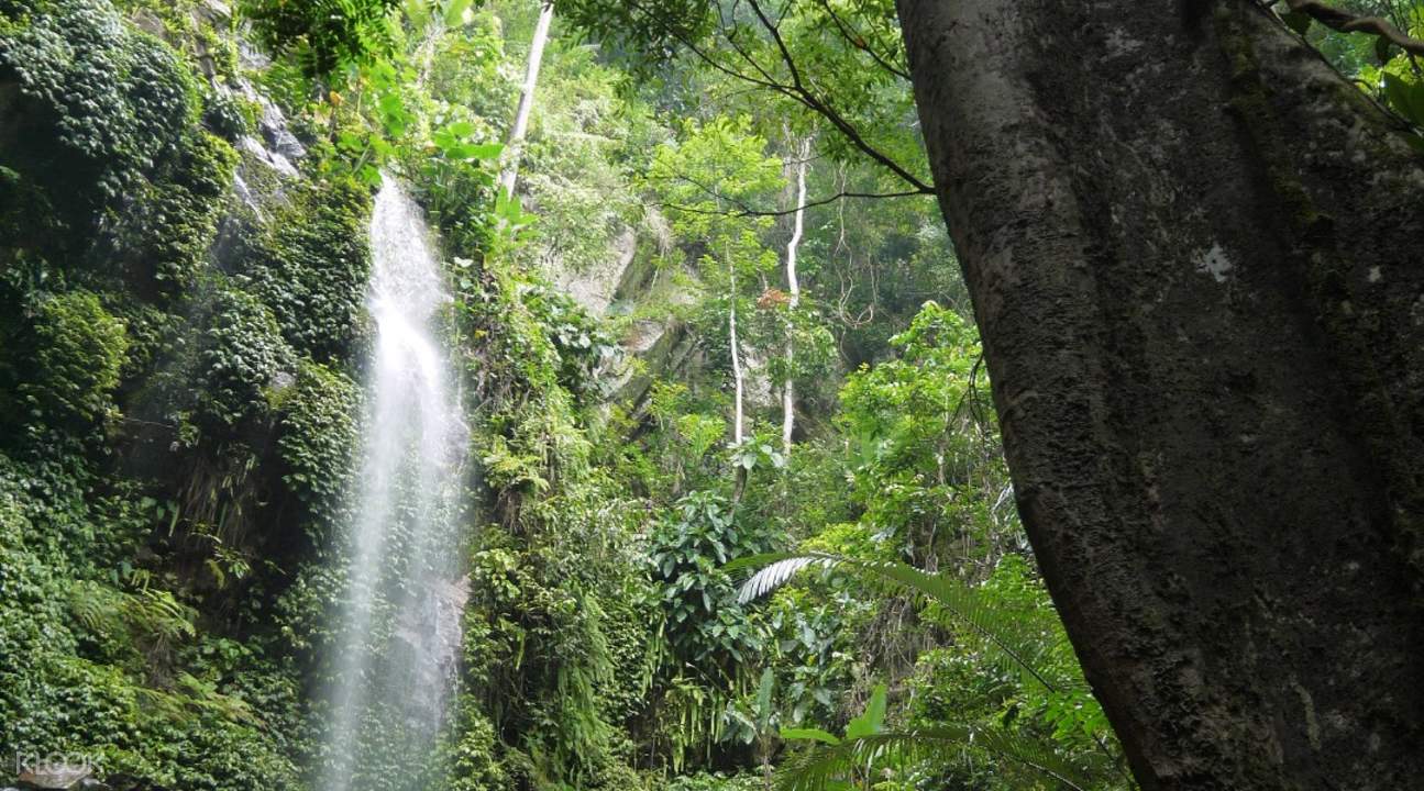 Wisata Sehari Royal Belum State Park Ipoh Malaysia
