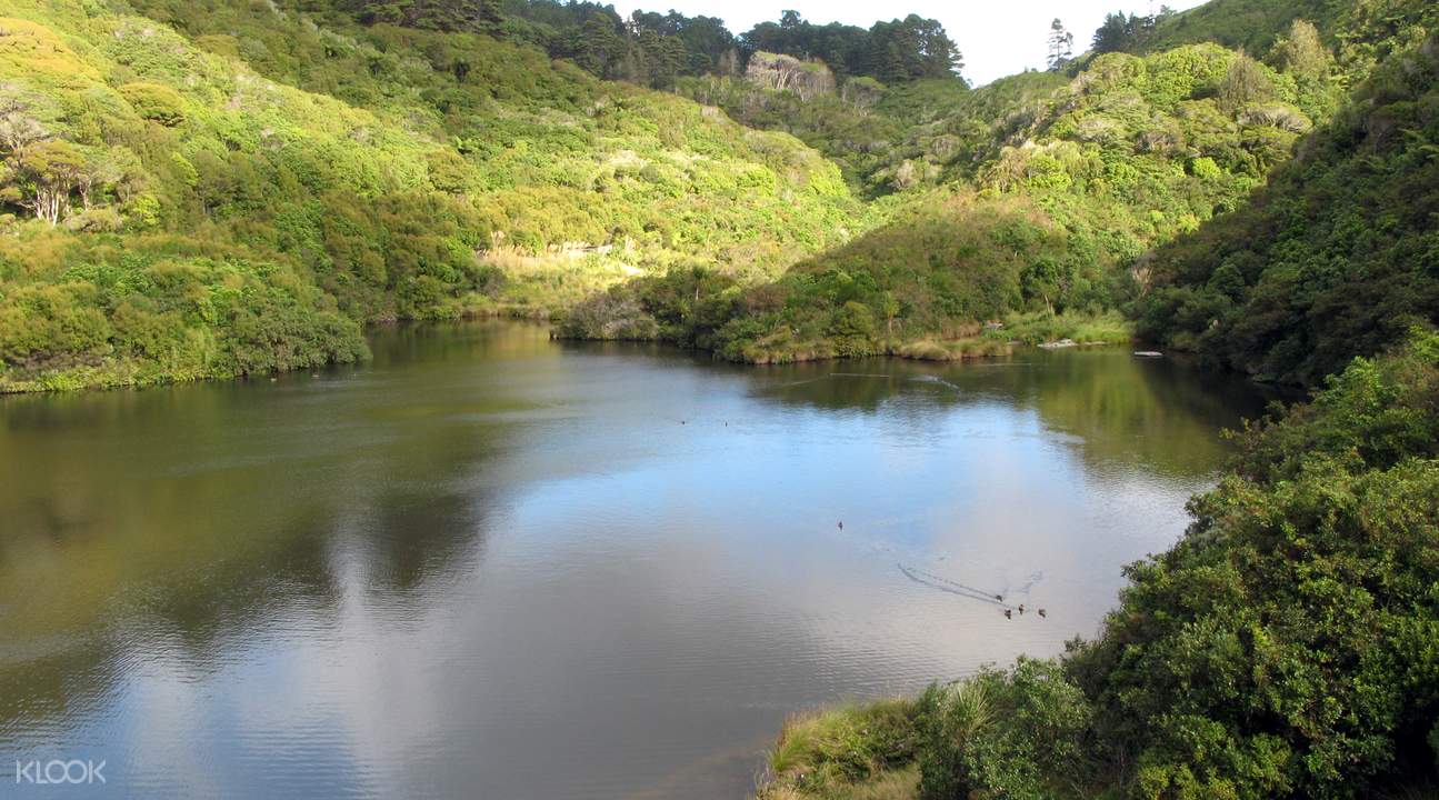 [SALE] ZEALANDIA Protected Natural Area Ticket KD