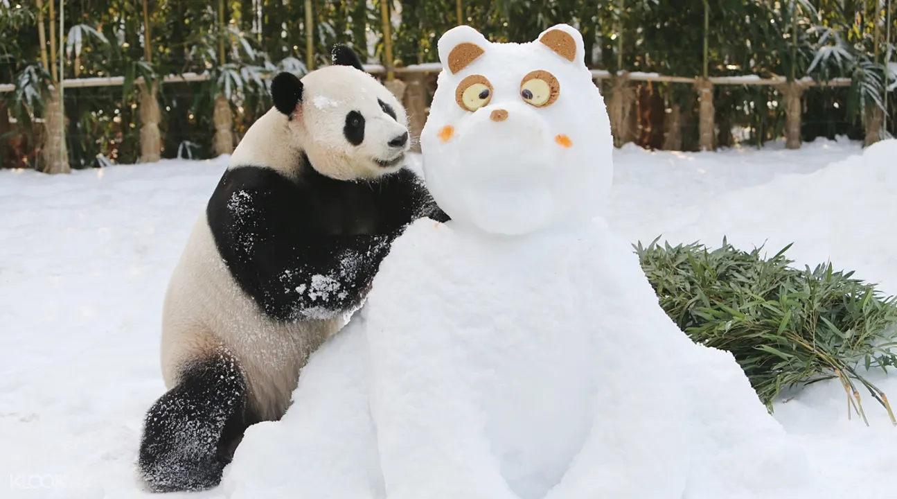 愛寶樂園Everland