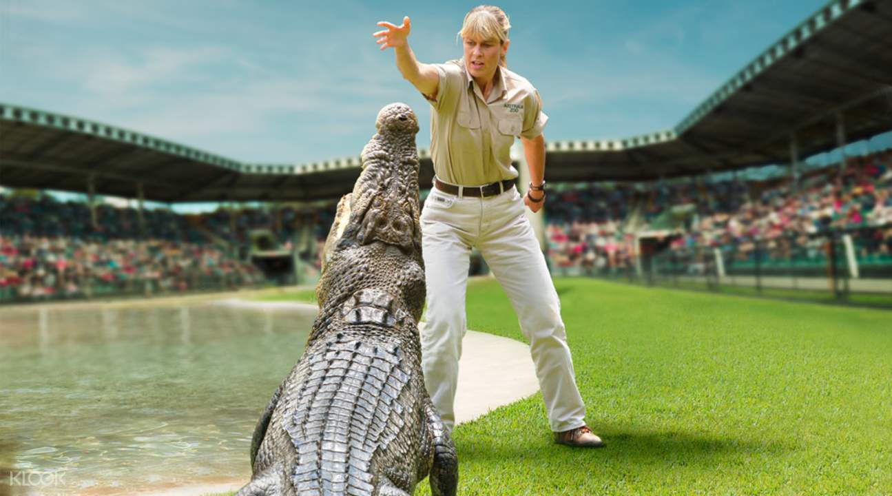 Australia Zoo General Admission Ticket Sunshine Coast