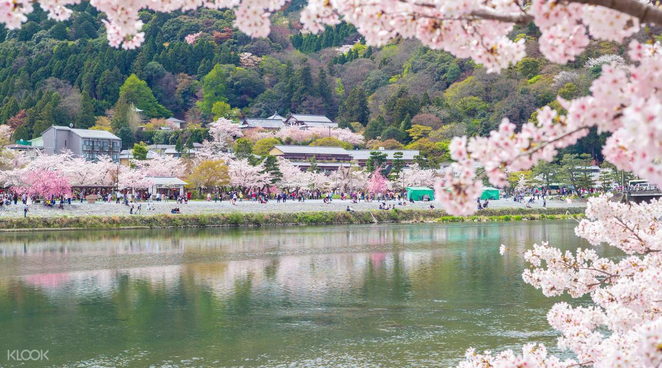 嵯峨野小火車
