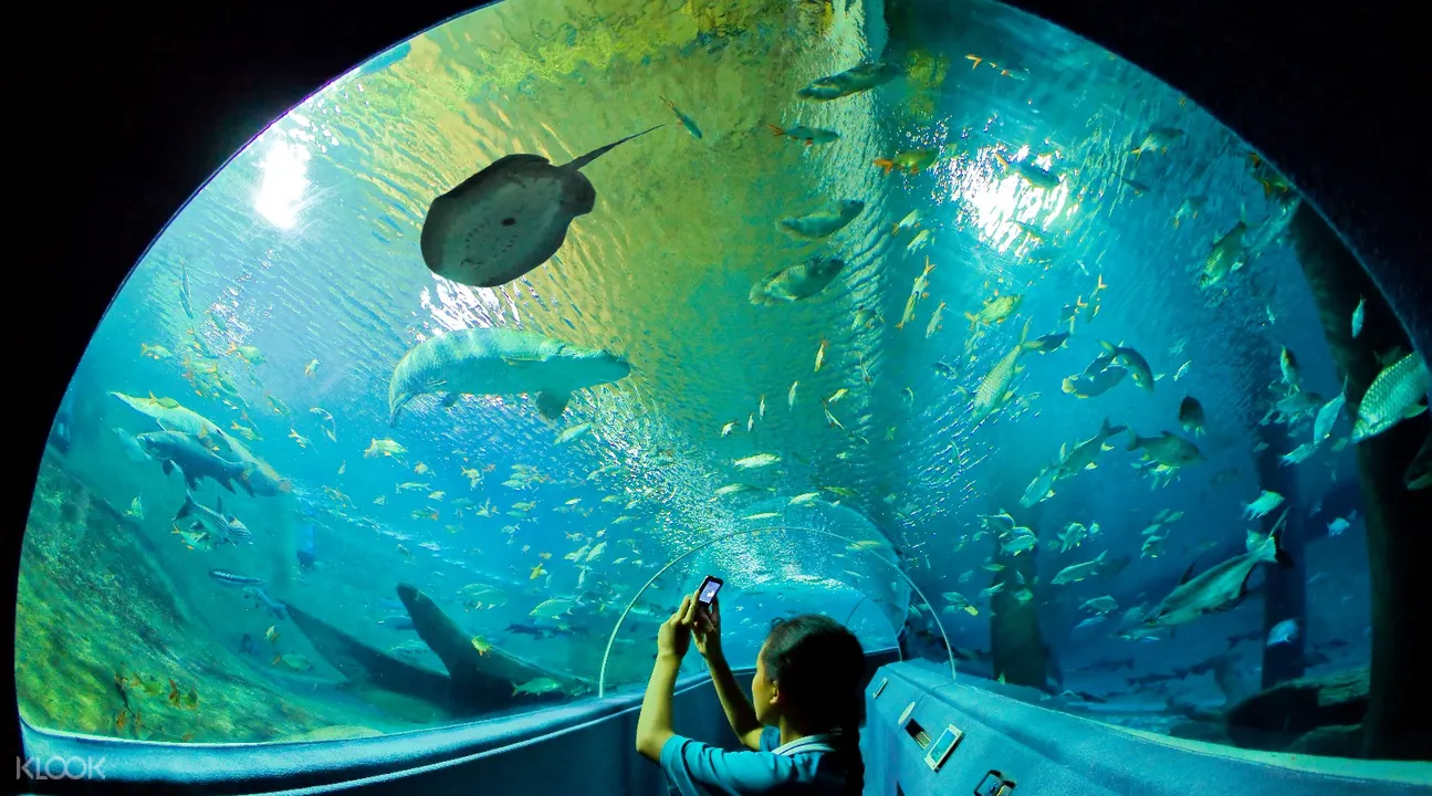 清邁動物園水族館