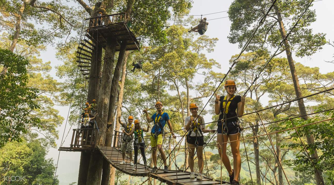 Jungle Flight Zipline Adventure