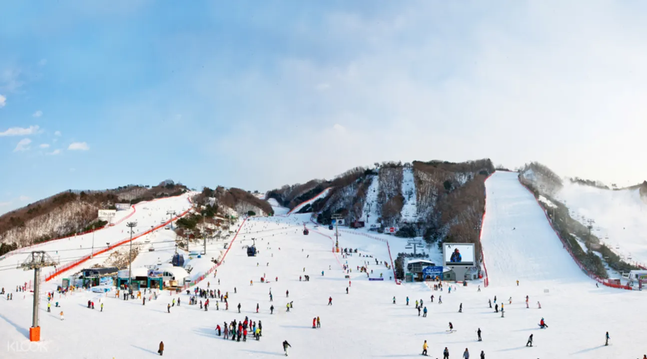 洪川大明Vivaldi Park滑雪一日遊（Starway提供）