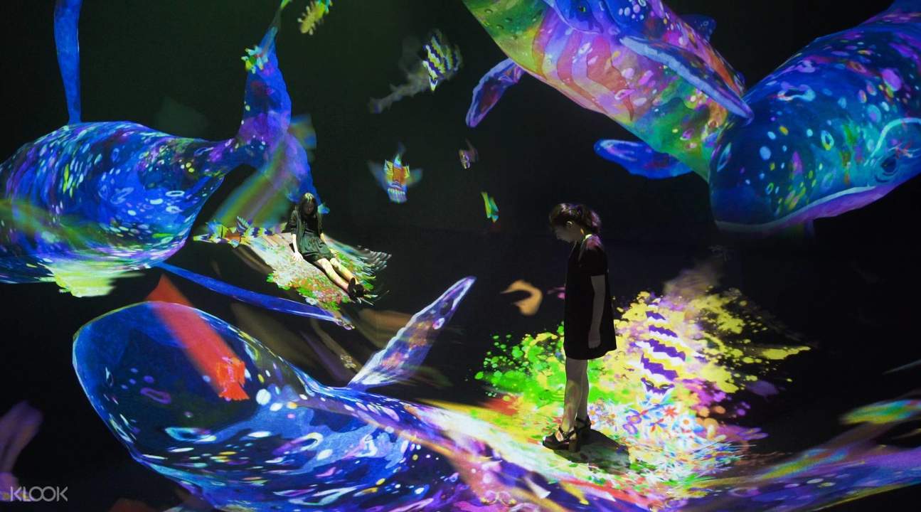 teamLab Art Exhibition Ticket, Macau - Klook