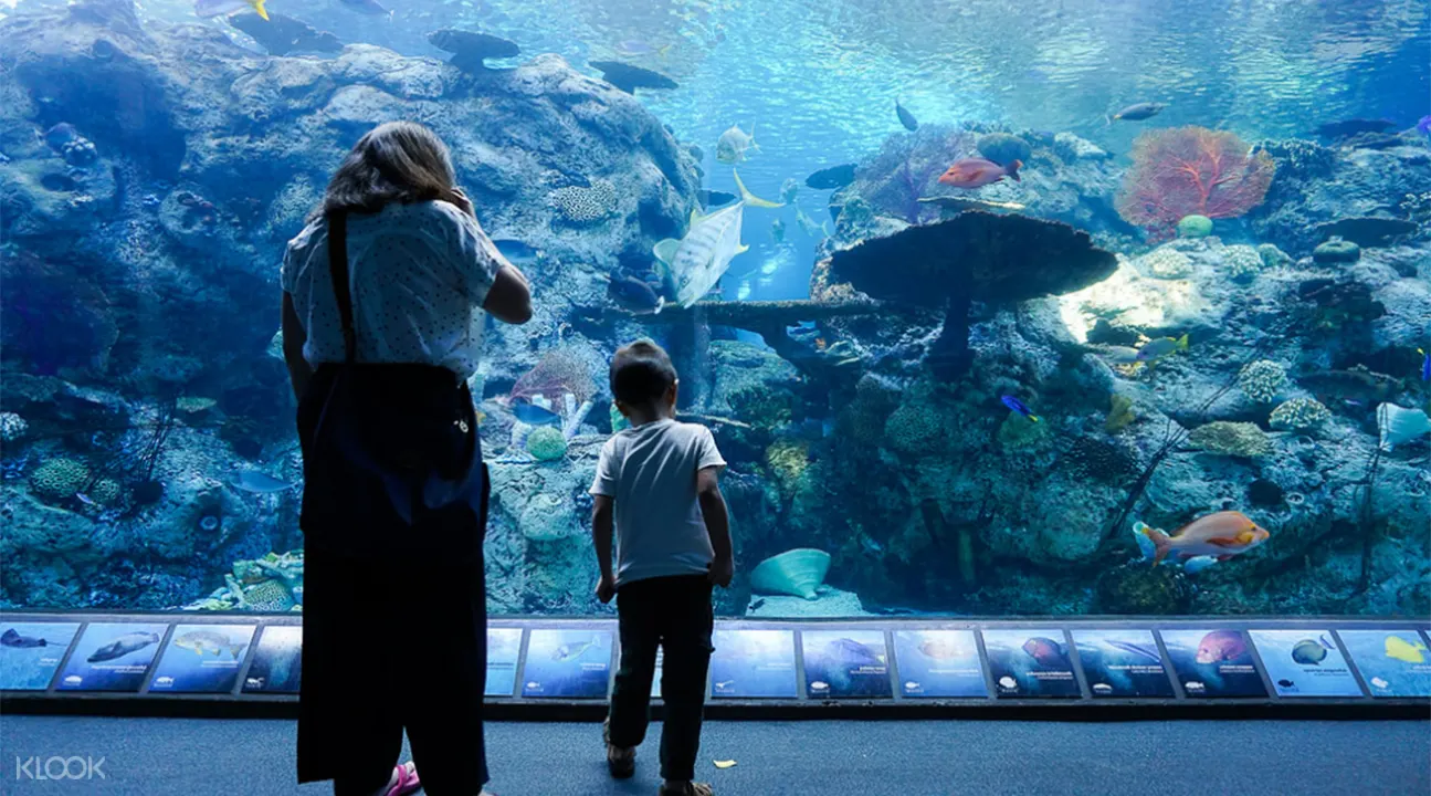 太平洋水族館門票