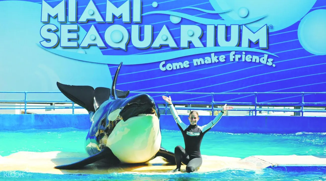 Miami Seaquarium Admission Ticket