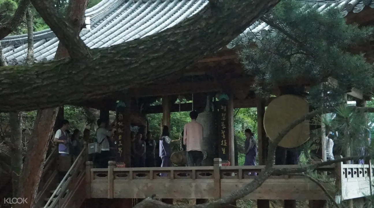 首爾金仙寺寺廟體驗