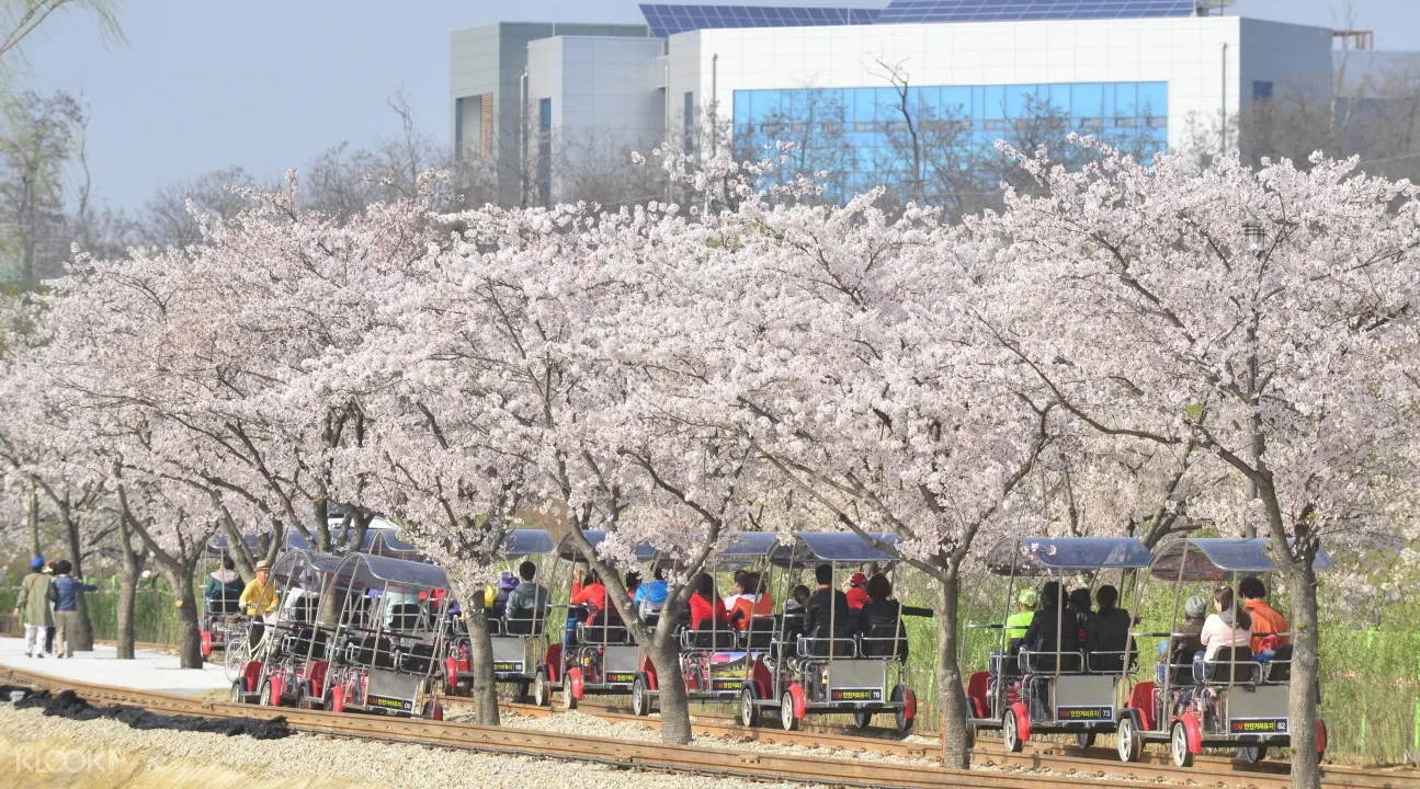 義王鐵道自行車