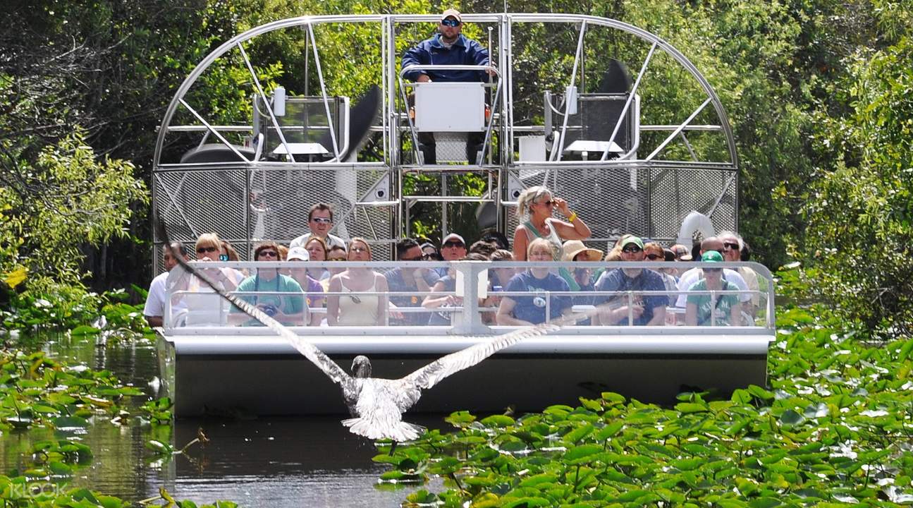 佛罗里达大沼泽地野生动物园风扇艇