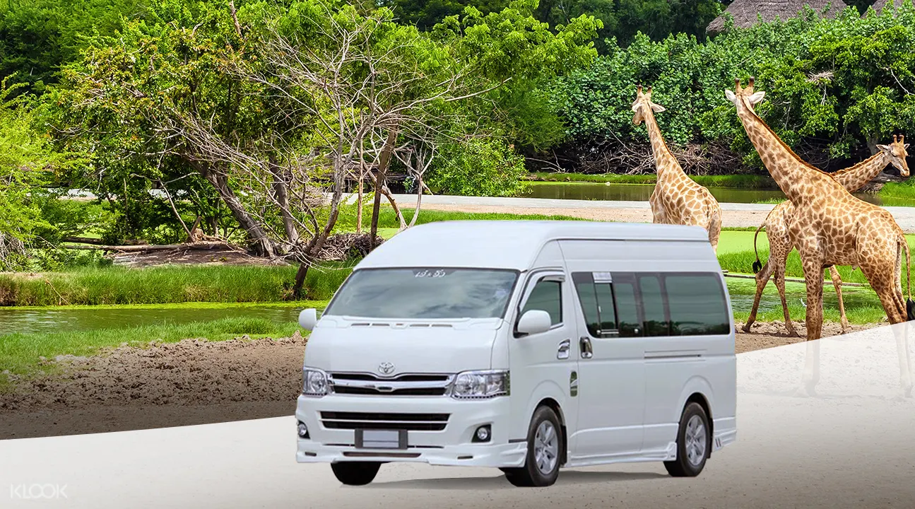 曼谷賽福瑞野生動物園(Safari World)往返接送