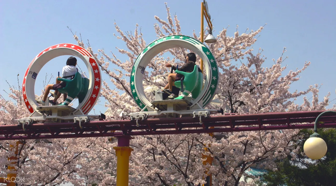 Seoul Land Theme Park Discount Tickets in Gyeonggi-do - Klook