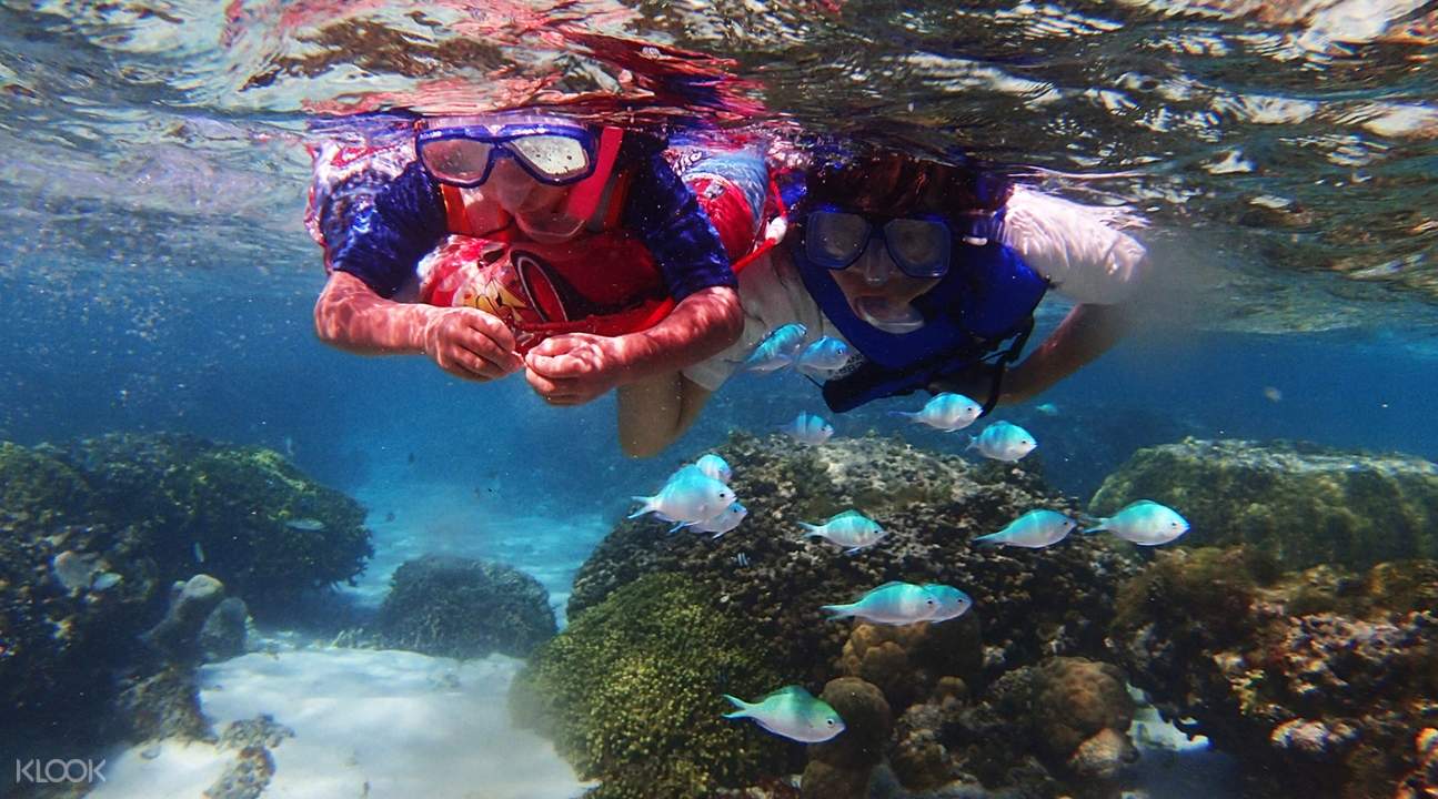 Paddle Boarding Lesson and Guided Snorkeling Experience in Guam