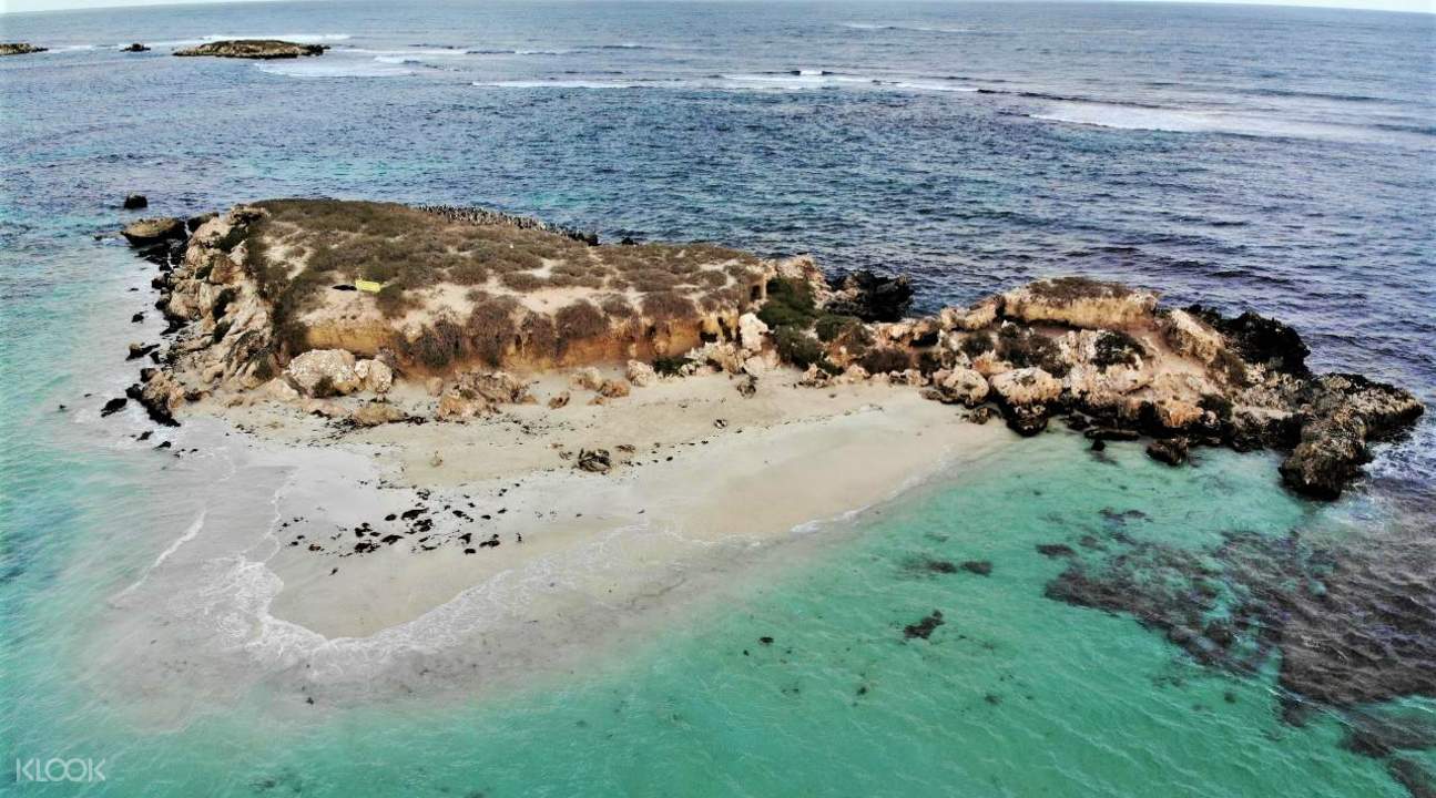 Sea Lion Tour with Optional Snorkeling Experience at Jurien Bay in